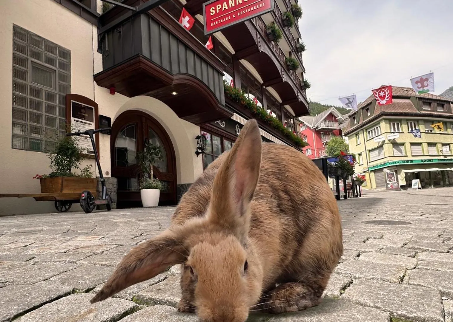 4 Familienhotels nahe Gerschnialp - Trübsee, die sich lohnen